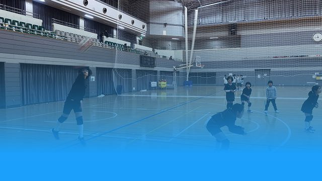 少女バレーボール